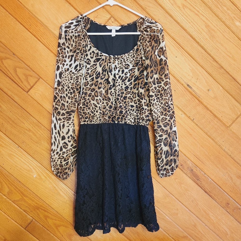 Speechless medium cheetah print and black lace long sleeved dress